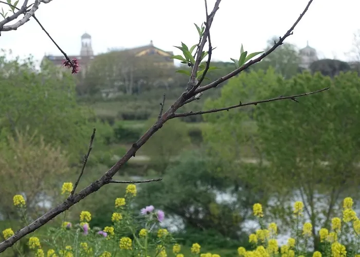 Daire Pietra Papa 99 Roma